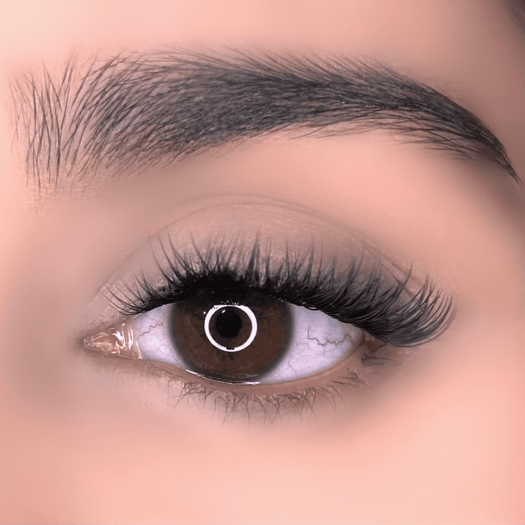 Forever Classic - Image 3